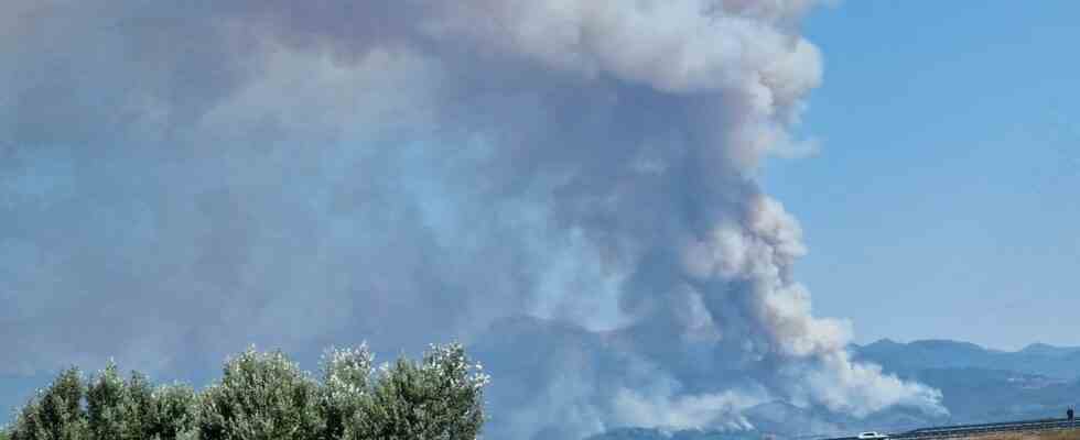 Record de chaleur au Royaume Uni les incendies de foret continuent