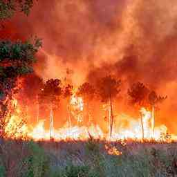 Un incendie de foret a Bordeaux detruit des proprietes lincendie