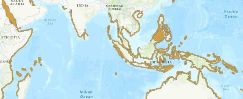 Dugong declare eteint en Chine peur de lextinction mondiale