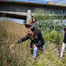 La crue de la Meuse a enormement pollue A