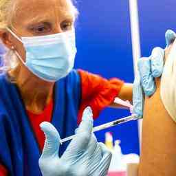 Le nombre de patients atteints de variole du singe admis