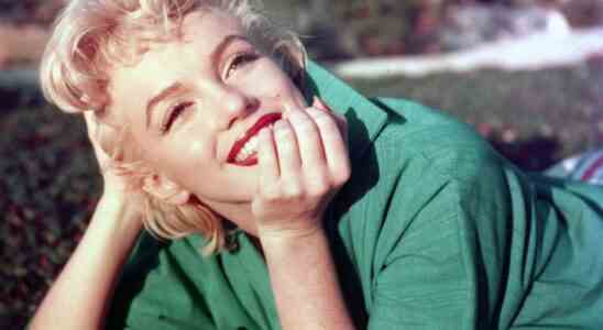 Marilyn Monroe avait elle un cerveau comme des trous de fromage