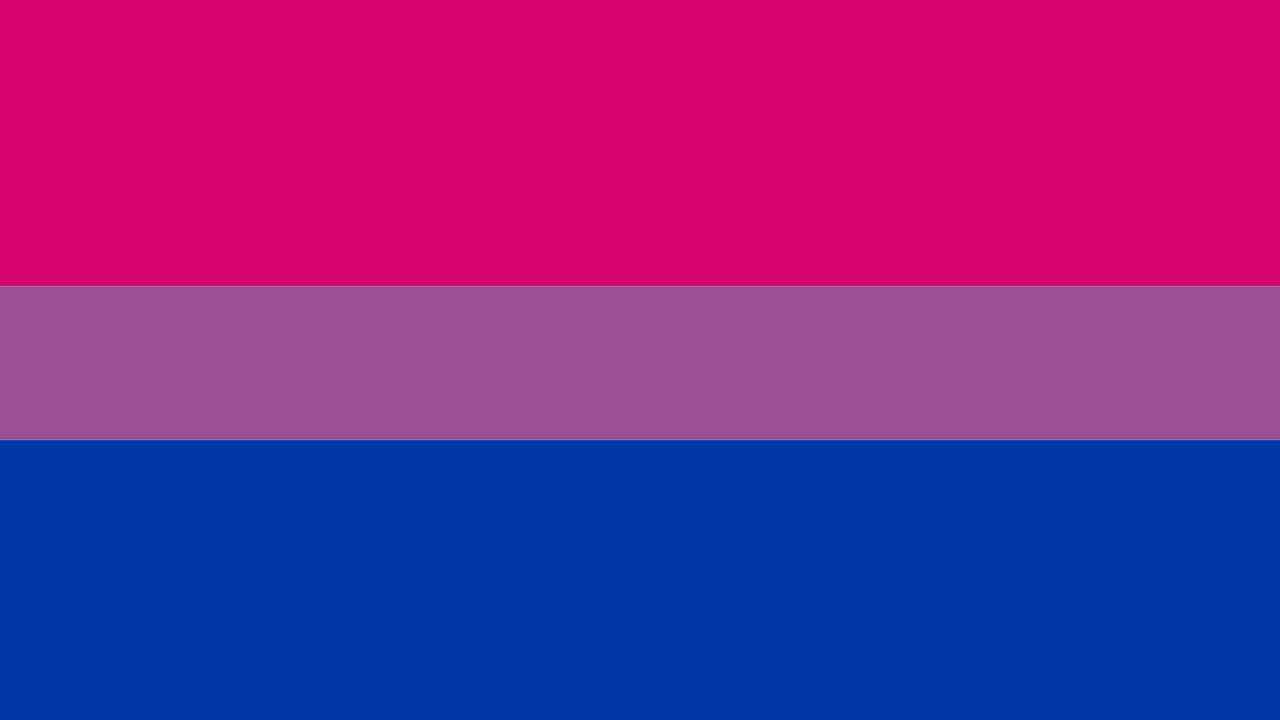 Le drapeau qui représente la bisexualité