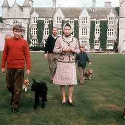 Les chiens de feu la reine Elizabeth vont au prince