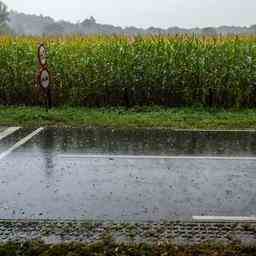 Meteo Gris frais et nuageux mais encore un peu