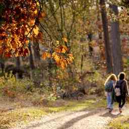 Il na jamais fait aussi chaud le 28 octobre