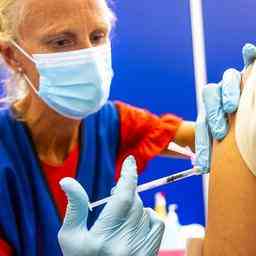 Lepidemie de monkeypox aux Pays Bas est presque terminee la vaccination