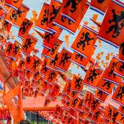 Cest la plus belle Oranjestraat des Pays Bas dapres la rue