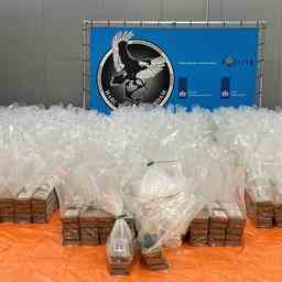 Les douanes de Rotterdam decouvrent un chargement de cocaine dune