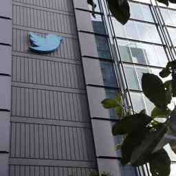 Twitter ne prend plus de mesures contre la desinformation sur