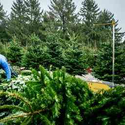 Vitis Welzijn organise toutes sortes dactivites pour les jeunes a