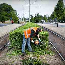 Cest ce que merite un employe du parc Travail