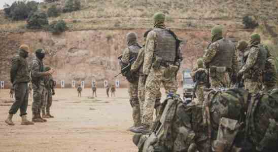 LEspagne apprendra a 55 soldats ukrainiens a utiliser le Leopard