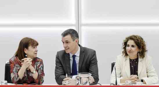 Le PSOE celebre la decision de la Cour supreme et