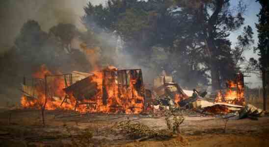 Les incendies qui devastent le Chili font deja 12 morts