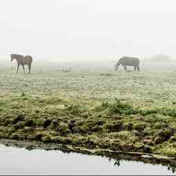 Prevision meteo Code jaune pour brouillard dense dans le