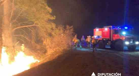Un incendie de foret brule environ deux hectares de pinede
