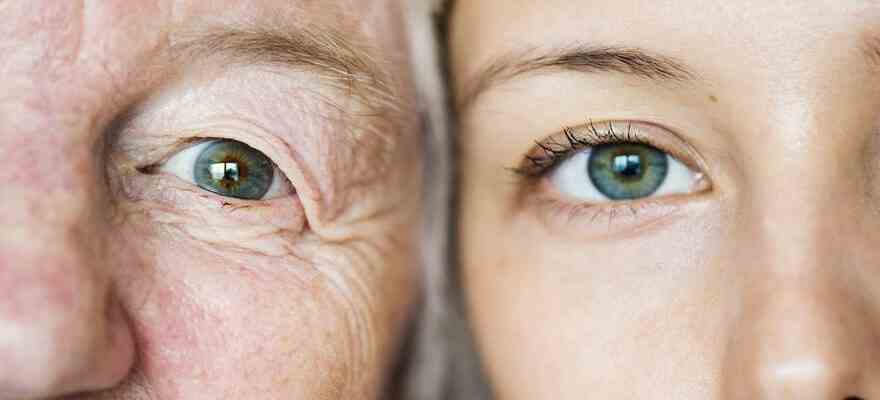 comment prevenir la maladie oculaire silencieuse qui touche les plus