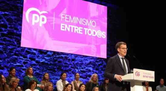 Feijoo accuse le PSOE et Podemos dutiliser le feminisme et