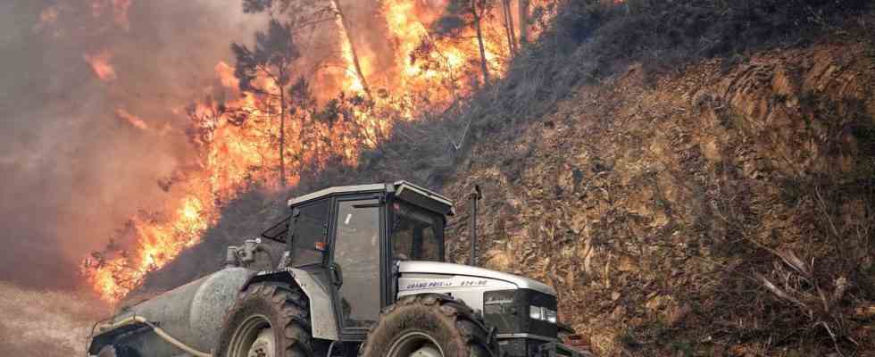 Il y a deja 116 incendies et le feu atteint