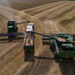 Laccord cerealier entre lUkraine et la Russie prolonge de quatre