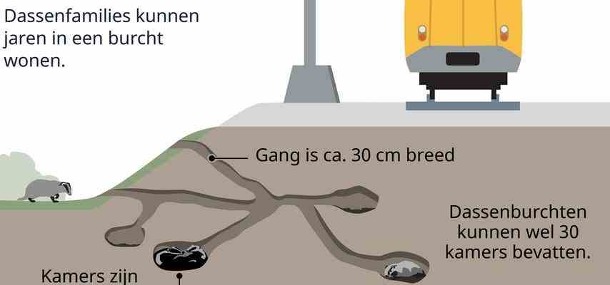 Le chemin de fer du Brabant rouvre mercredi apres un