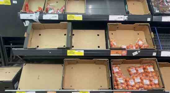 Le mauvais temps en Espagne laisse la Grande Bretagne sans tomates