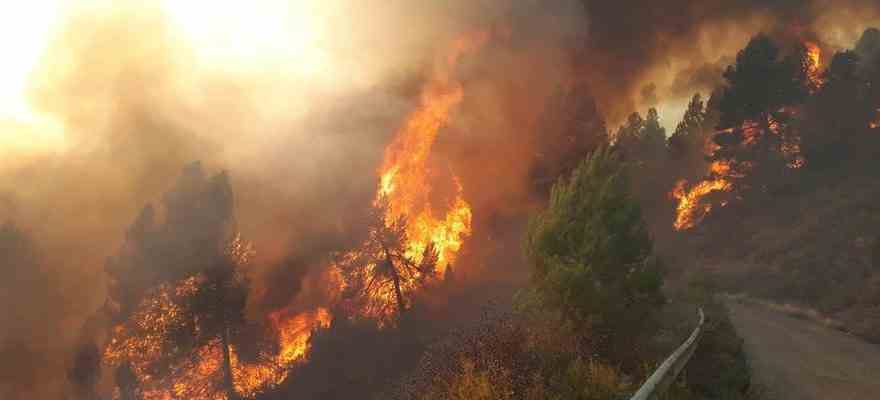 Le vent et les temperatures elevees compliquent lincendie de Castellon