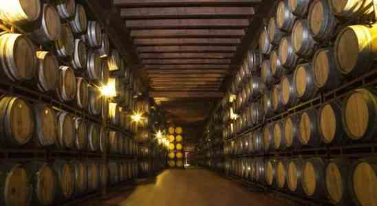Le vin aragonais cherche une issue aux millions de litres