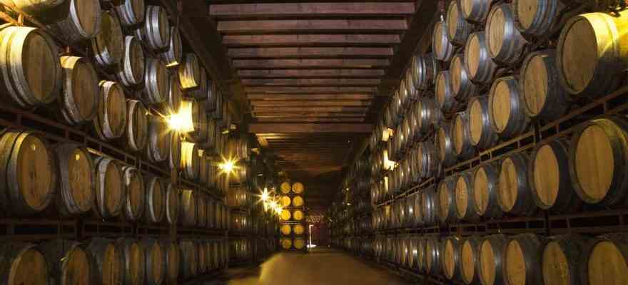Le vin aragonais cherche une issue aux millions de litres