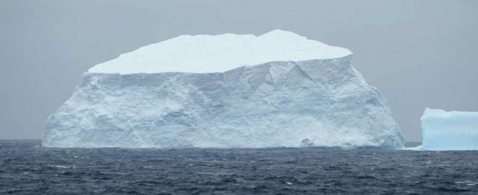 Antarctica could collapse in just a decade