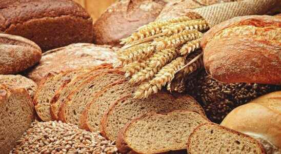 Around the world of breads between flavors and health benefits