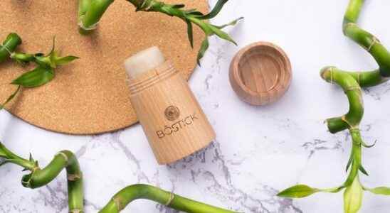 Beauty innovation what if you switched to deodorant in… wood
