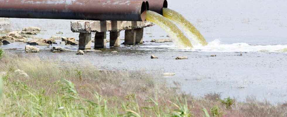 How human waste massively pollutes rivers