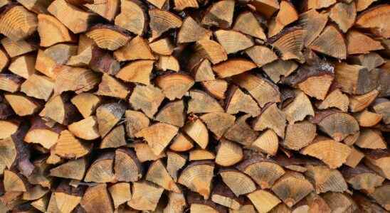 How to differentiate dry wood from green wood