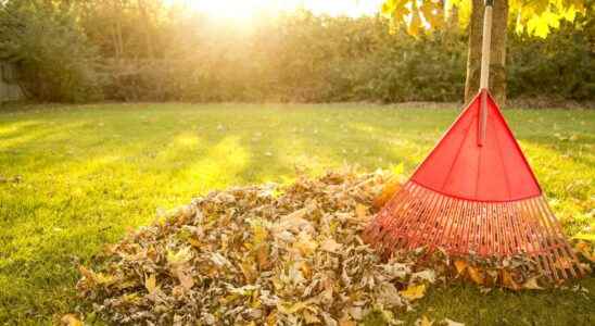 How to maintain your garden in autumn