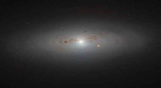 One in five galaxies in the Universe is believed to