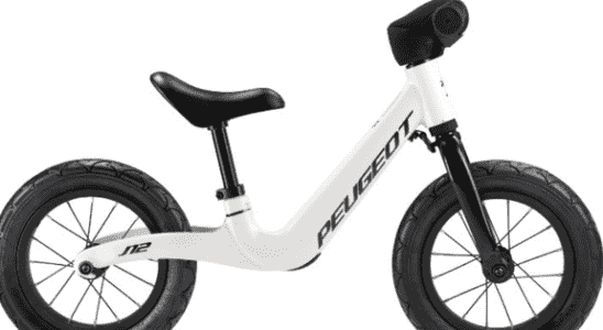 Recall of numerous batches of Peugeot brand balance bikes