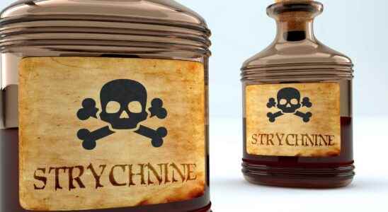 Strychnine what is it