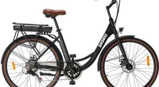 Surpass electric bike an elegant and comfortable eBike for less