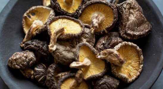 Take care of your skin Shiitake mushrooms must be cooked