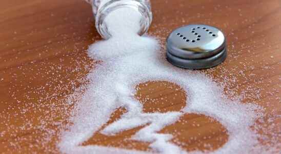 Too much salt slows blood flow in the brain