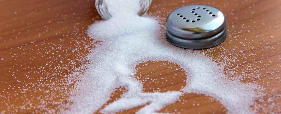 Too much salt slows blood flow in the brain