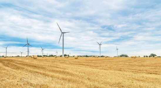 What are the five types of renewable energy