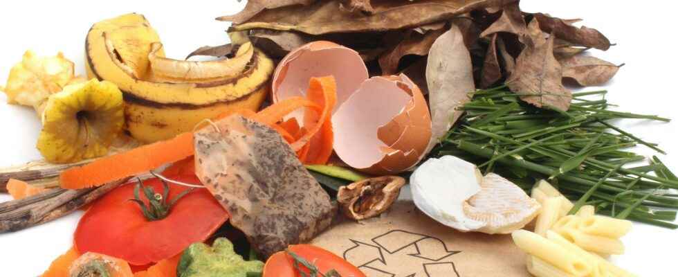 10 food waste you never thought to reuse