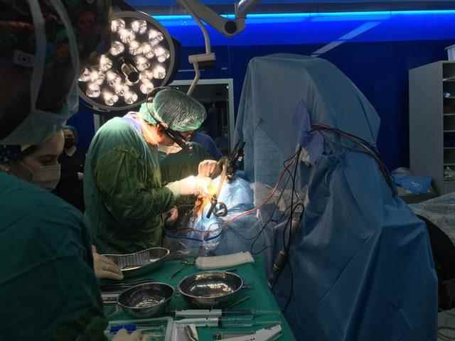 turkey-first-live-brain-surgery-surgery-course-doctors-operated-trainees-watched_4457_dhaphoto3
