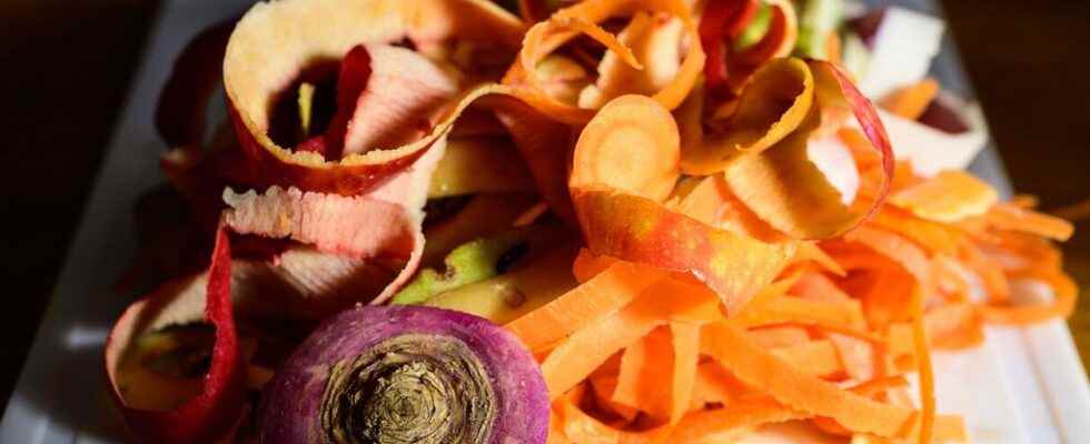 9 anti waste recipe ideas with tops and vegetable peels