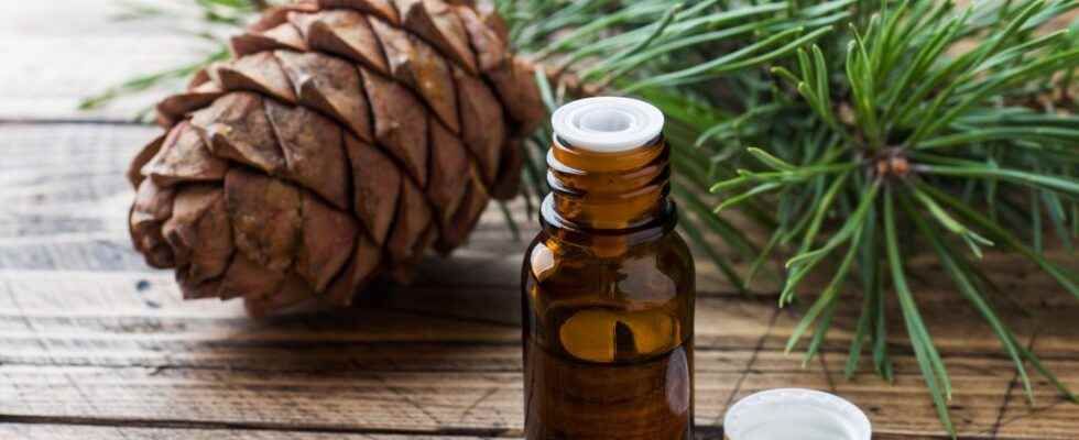 An anti cellulite oil with cedar