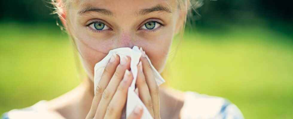 Antihistamines all you need to know to fight allergies