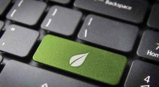 Become a green it consultant training opportunities salary